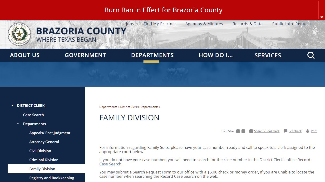 Family Division - Brazoria County, TX